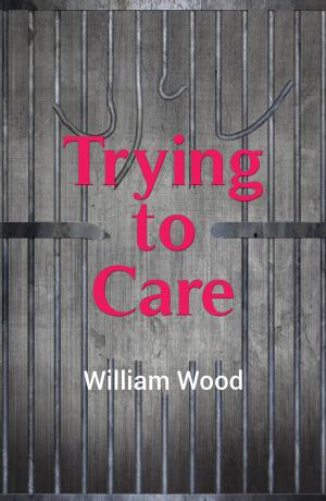Cover of the book Trying to Care by Michael J. Clark