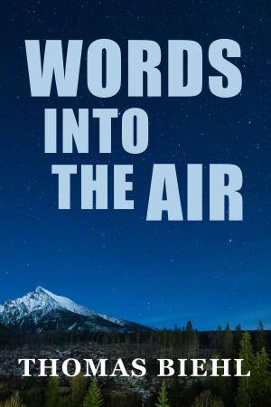 Book cover of Words into the Air