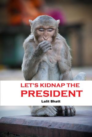 Cover of the book Let's Kidnap the President by J.S. McInroy