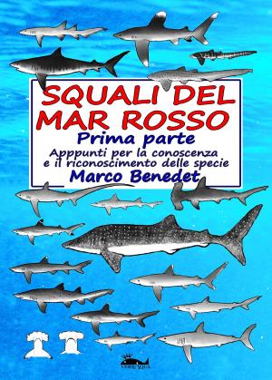 bigCover of the book Squali del Mar Rosso: 1a parte by 