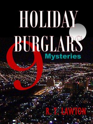 Book cover of 9 Holiday Burglars Mysteries