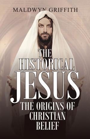 Cover of The Historical Jesus: the Origins of Christian Belief