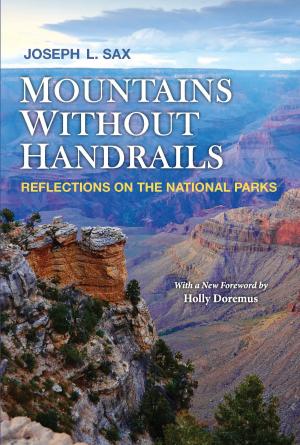 Book cover of Mountains Without Handrails