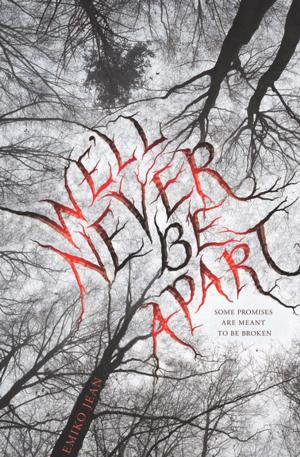 Cover of the book We'll Never Be Apart by Erin McGraw