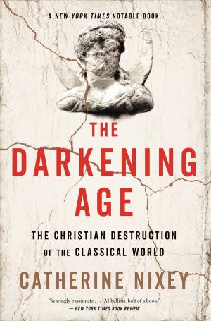 Cover of the book The Darkening Age by Sarah Zettel