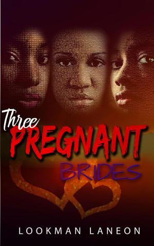 Cover of the book Three Pregnant Brides by Merlin T. Salzburg