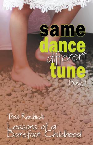 bigCover of the book Same Dance Different Tune by 