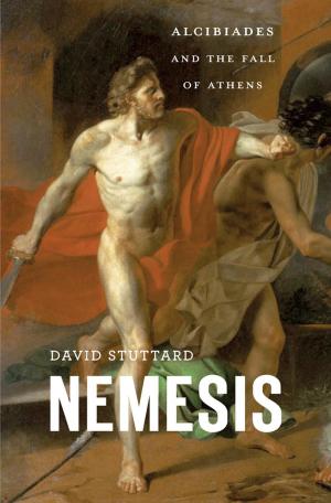Cover of the book Nemesis by Jerome McGann