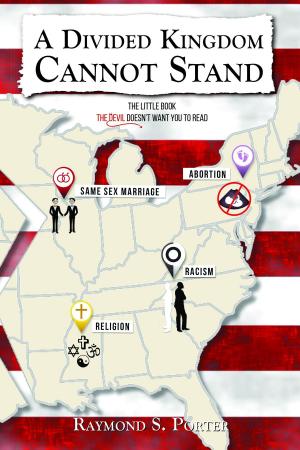 Cover of the book A Divided Kingdom Cannot Stand by Amy Sargent