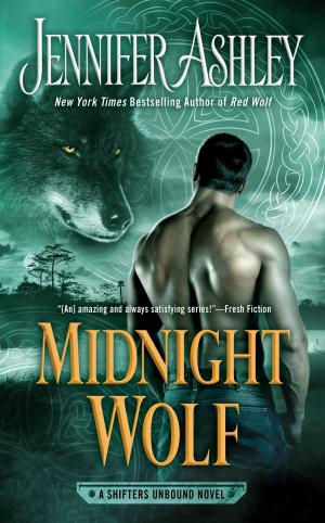 Cover of the book Midnight Wolf by Marilyn Byfield Paul