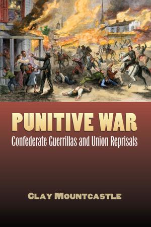 Cover of the book Punitive War by David M. Barrett
