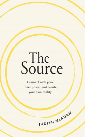 Cover of the book The Source by Barry Ryan