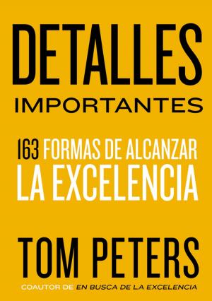 Cover of the book Detalles importantes by Regina Calcaterra