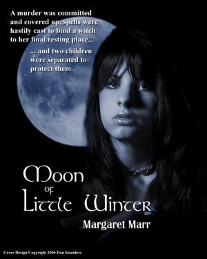 Cover of the book Moon of Little Winter by Rhonda S. Edwards