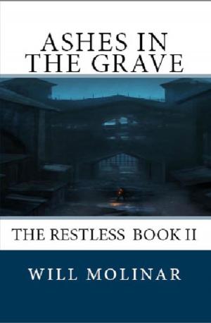 Cover of the book Ashes in the Grave by David Silvestre