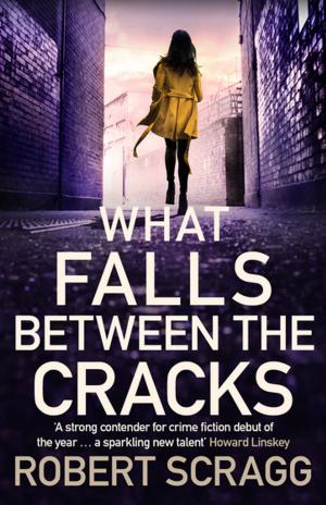 Cover of the book What Falls Between the Cracks by Caro Fraser