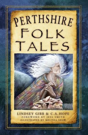 Cover of the book Perthshire Folk Tales by Ian D. Rotherham