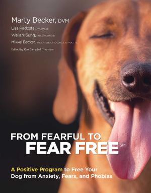 Cover of the book From Fearful to Fear Free by Jack Canfield, Kent Healy