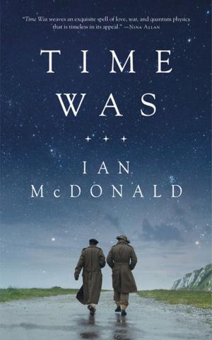 Cover of the book Time Was by Ann Chamberlin