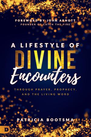 Cover of the book A Lifestyle of Divine Encounters by Steven Brooks