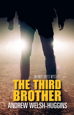 Cover of the book The Third Brother by 