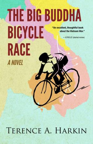 Cover of the book The Big Buddha Bicycle Race by Tendai Huchu