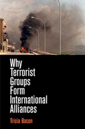 Cover of the book Why Terrorist Groups Form International Alliances by Sharon Block