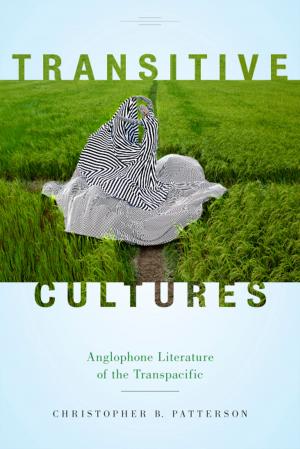 Cover of the book Transitive Cultures by David A. Steinberg