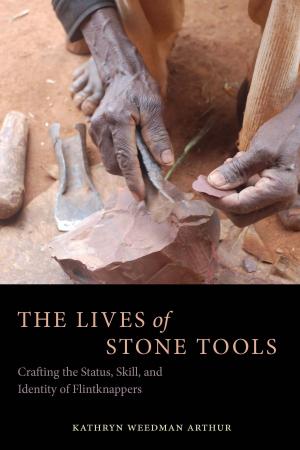 Cover of the book The Lives of Stone Tools by Guadalupe Sánchez