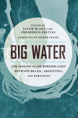 bigCover of the book Big Water by 