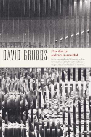 Cover of the book Now that the audience is assembled by Lawrence Grossberg