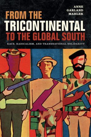 Cover of the book From the Tricontinental to the Global South by Lee D. Baker