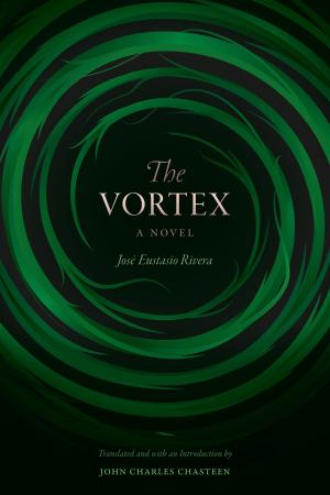 Cover of the book The Vortex by Martin Hopenhayn, Stanley Fish, Fredric Jameson