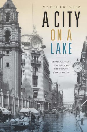 Cover of the book A City on a Lake by Eric O. Clarke, Michèle Aina Barale, Jonathan Goldberg, Michael Moon, Eve  Kosofsky Sedgwick