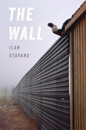 Cover of the book The Wall by Chard deNiord