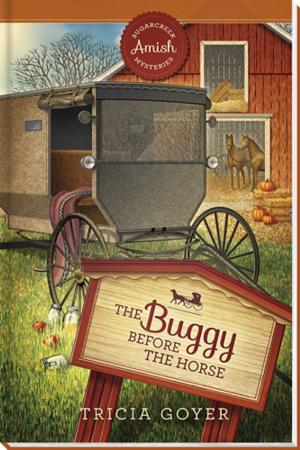 Cover of the book The Buggy Before the Horse by Miralee Ferrell