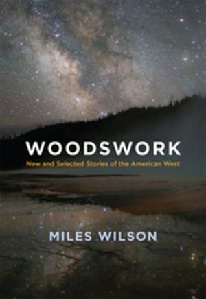 Cover of the book Woodswork by Mark Wasserman