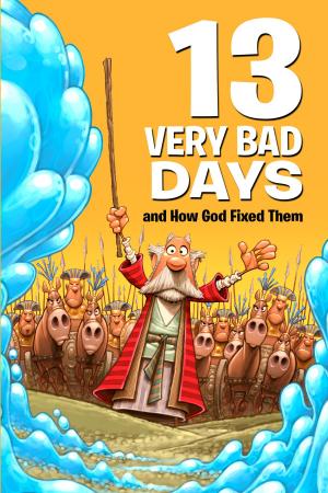bigCover of the book 13 Very Bad Days and How God Fixed Them by 