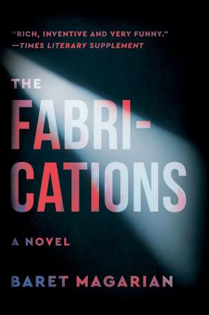 Cover of the book The Fabrications by Luísa Coelho