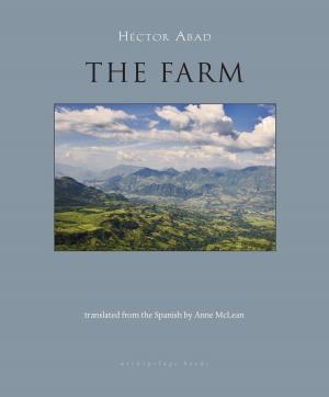 Cover of the book The Farm by Breyten Breytenbach