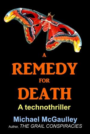 Cover of the book A Remedy for Death by Robert Deming