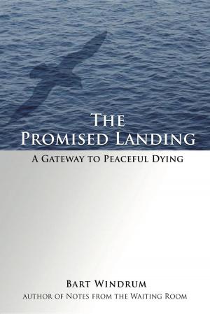 Cover of the book The Promised Landing by Sandy Glum