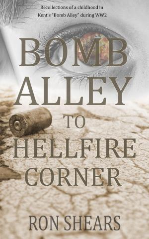 Book cover of Bomb Alley To Hellfire Corner