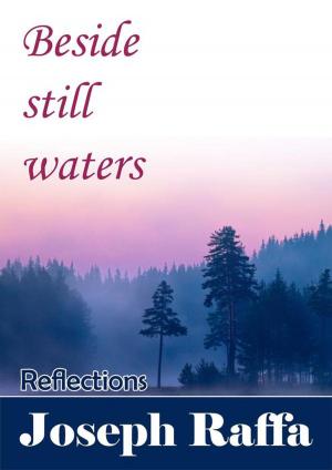 Cover of the book Beside Still Waters by Beth Mitchum