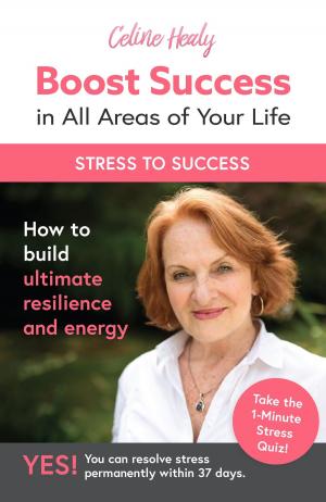 Cover of the book Boost Success in All Areas of Your Life: How to Build Ultimate Resilience and Energy by Beth Kurland