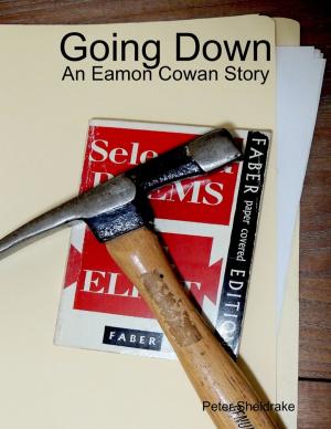 Cover of the book Going Down: An Eamon Cowan Story by Belinda G. Buchanan