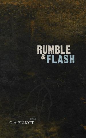 Book cover of Rumble and Flash