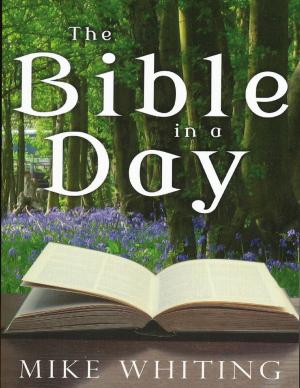 Cover of the book The Bible In a Day by Jon Vandermark