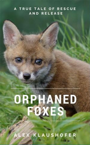 Cover of the book Orphaned Foxes: A true tale of rescue and release by Tessa Jmaeff