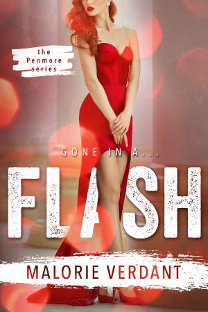 Cover of the book Flash by Jennifer Ryan